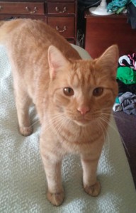 Milo