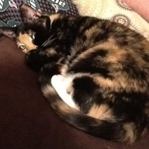 Penney