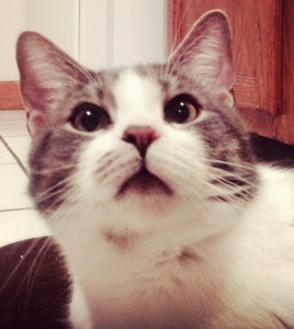 Oliver