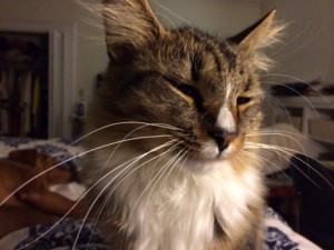 Leo