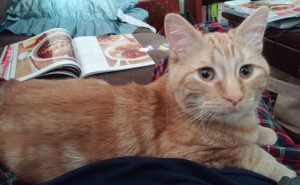 Max