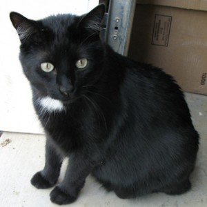 Tux