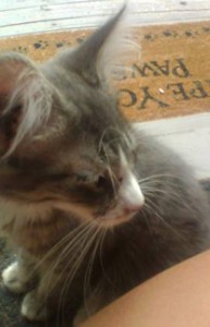 Fluffy