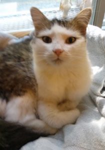 Suzie
